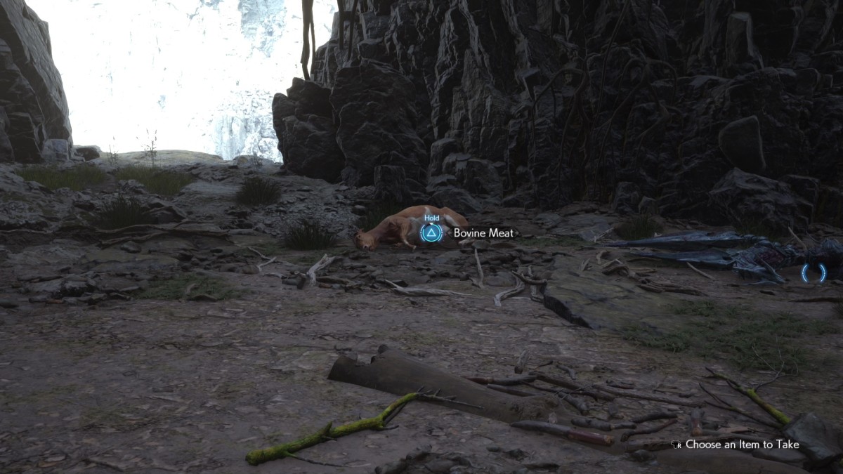 Scroll to the left for the perfect bait: Bovine Meat.
